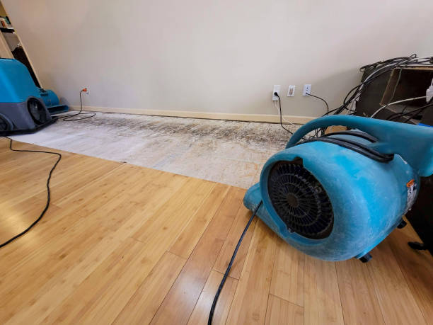 Professional Flood Damage Cleanup technician working in Marlow, OK
